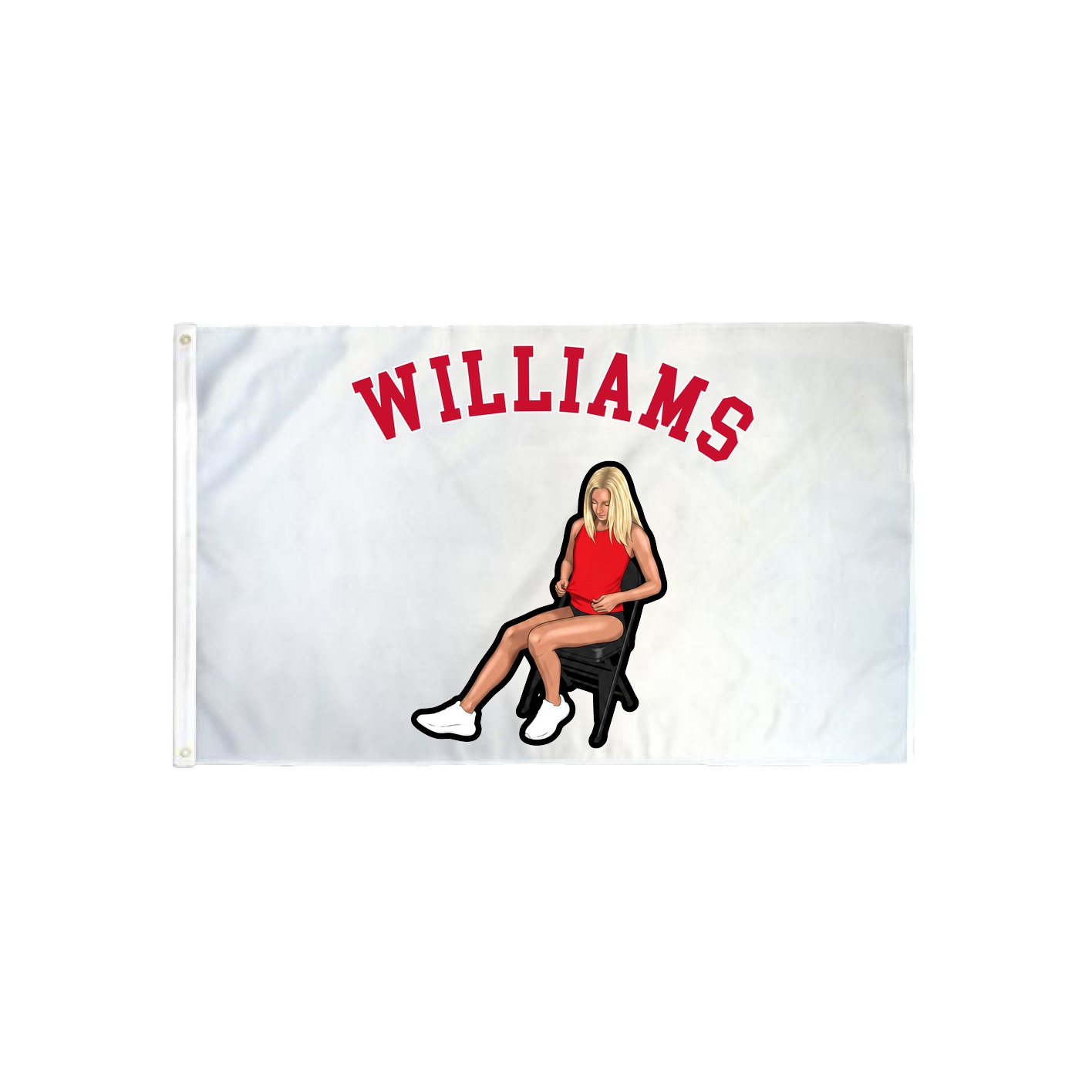 3x5 Flag — Shirsey Arch in Classic