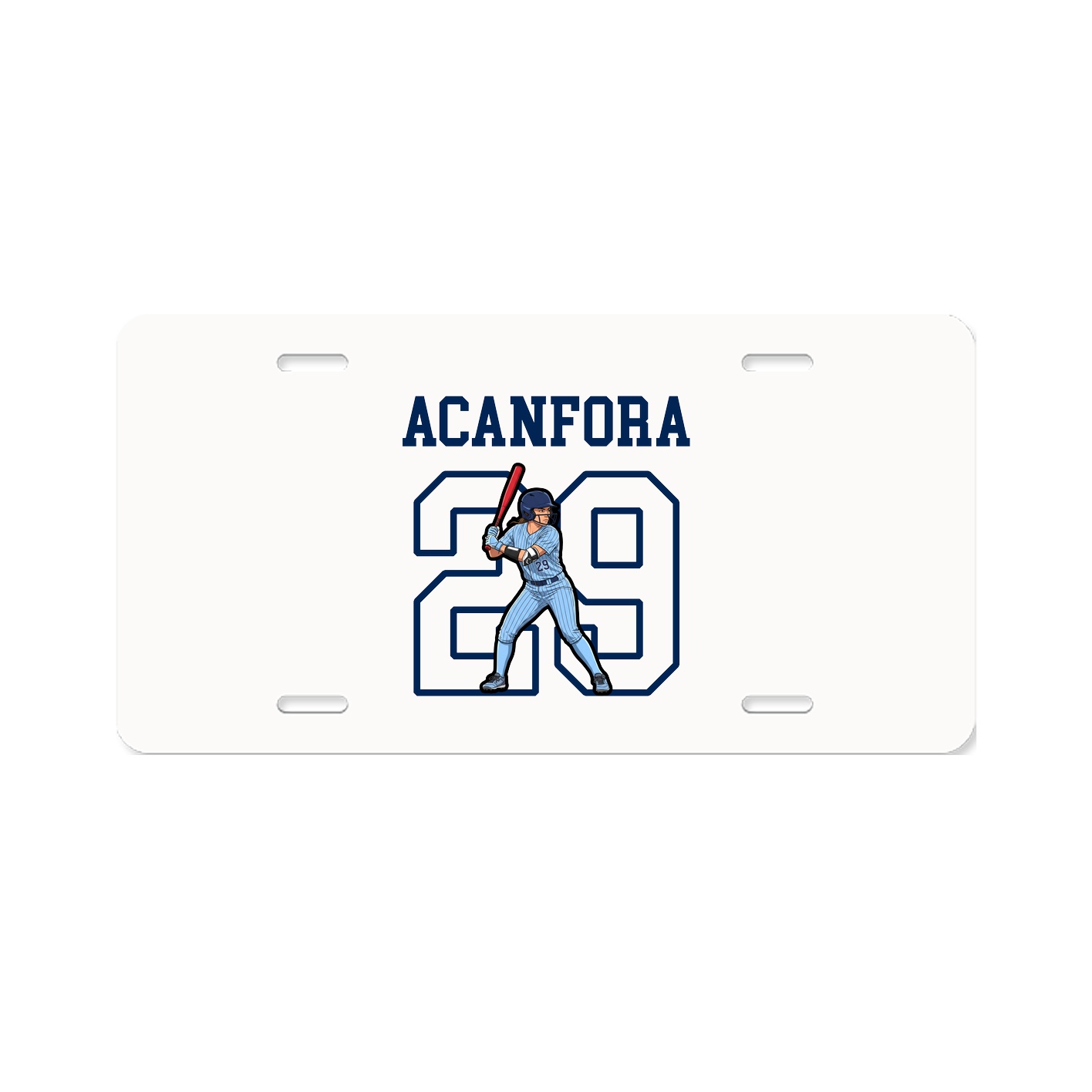 Aluminum License Plate