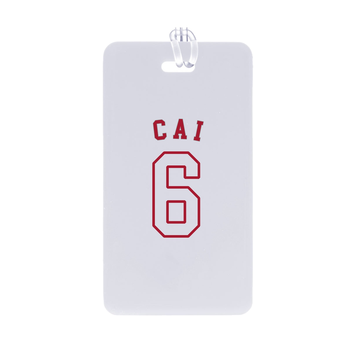 Bag Tag — Shirsey Arch in Classic
