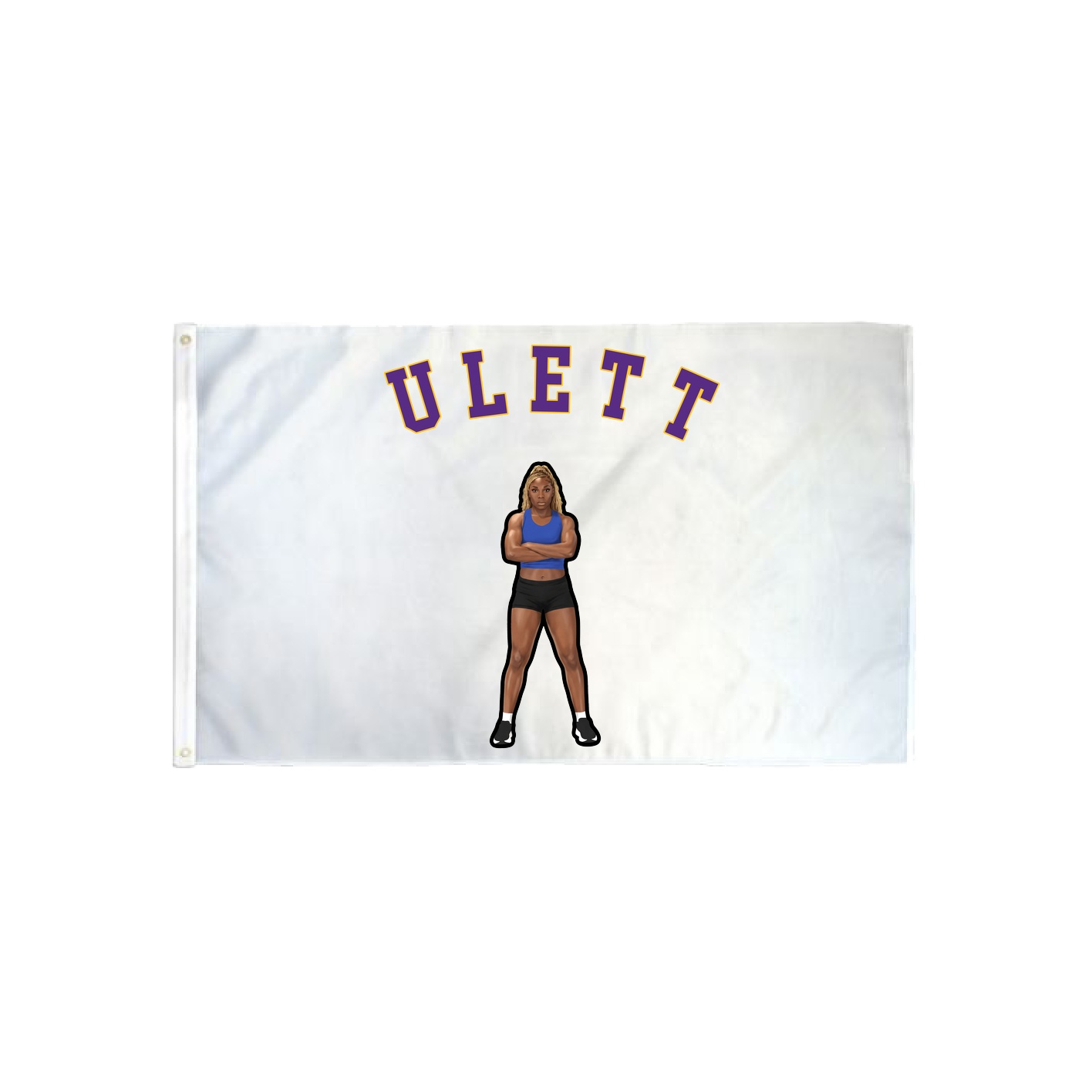 3x5 Flag — Shirsey Arch in Classic