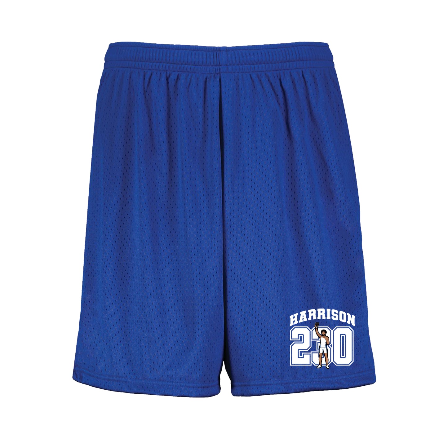 Shorts — Number in Royal