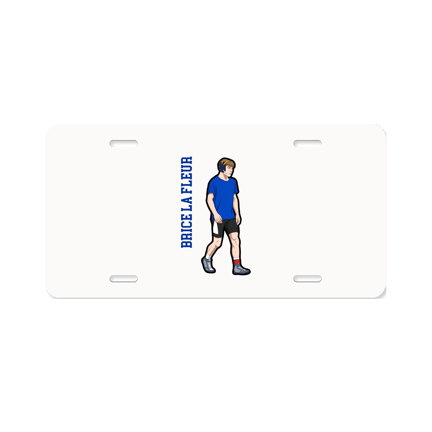 Aluminum License Plate