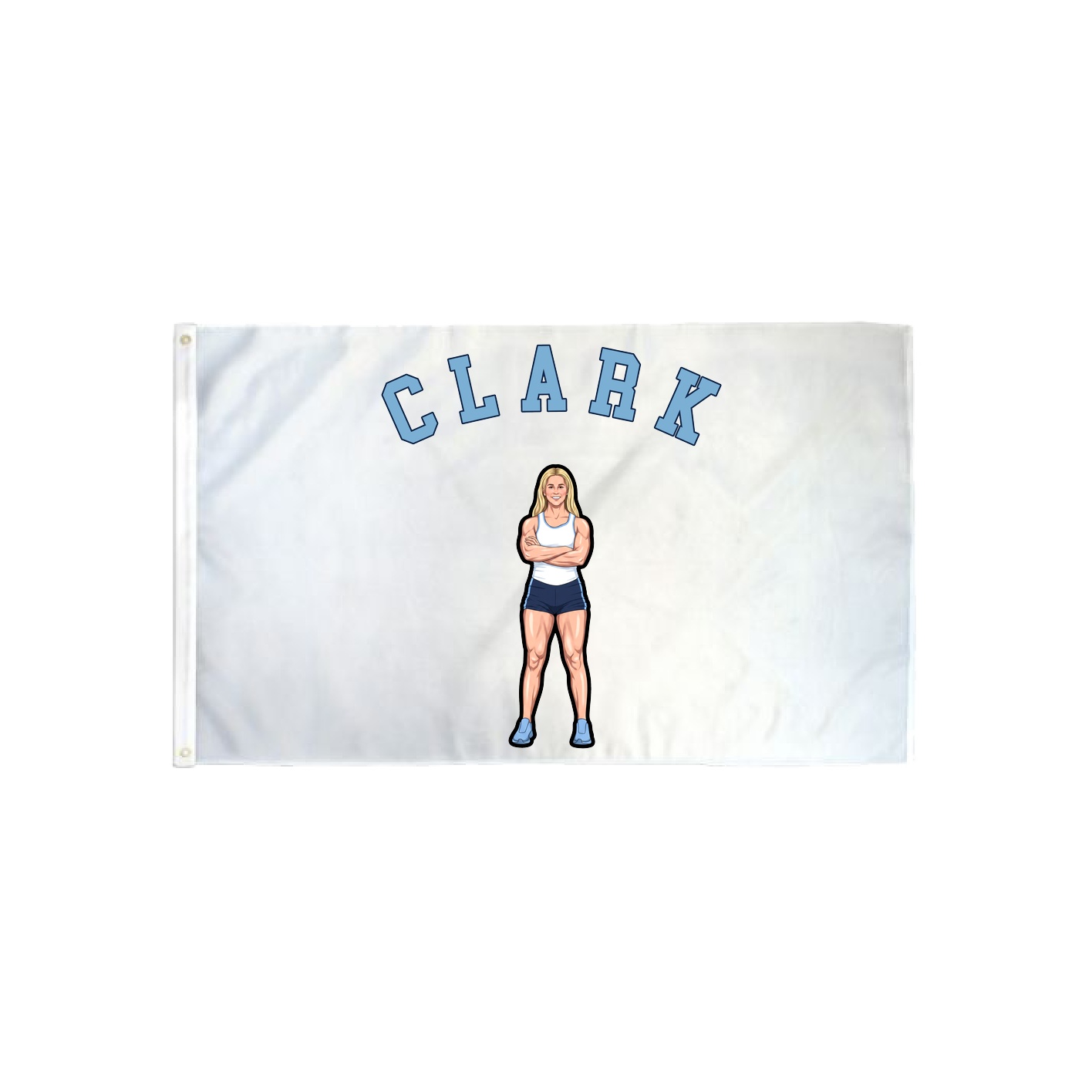 3x5 Flag — Shirsey Arch in Classic