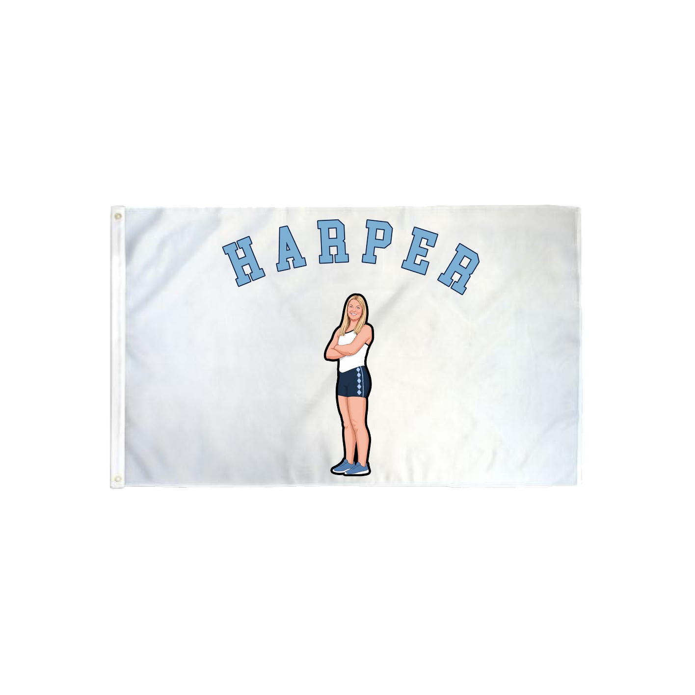 3x5 Flag — Shirsey Arch in Classic
