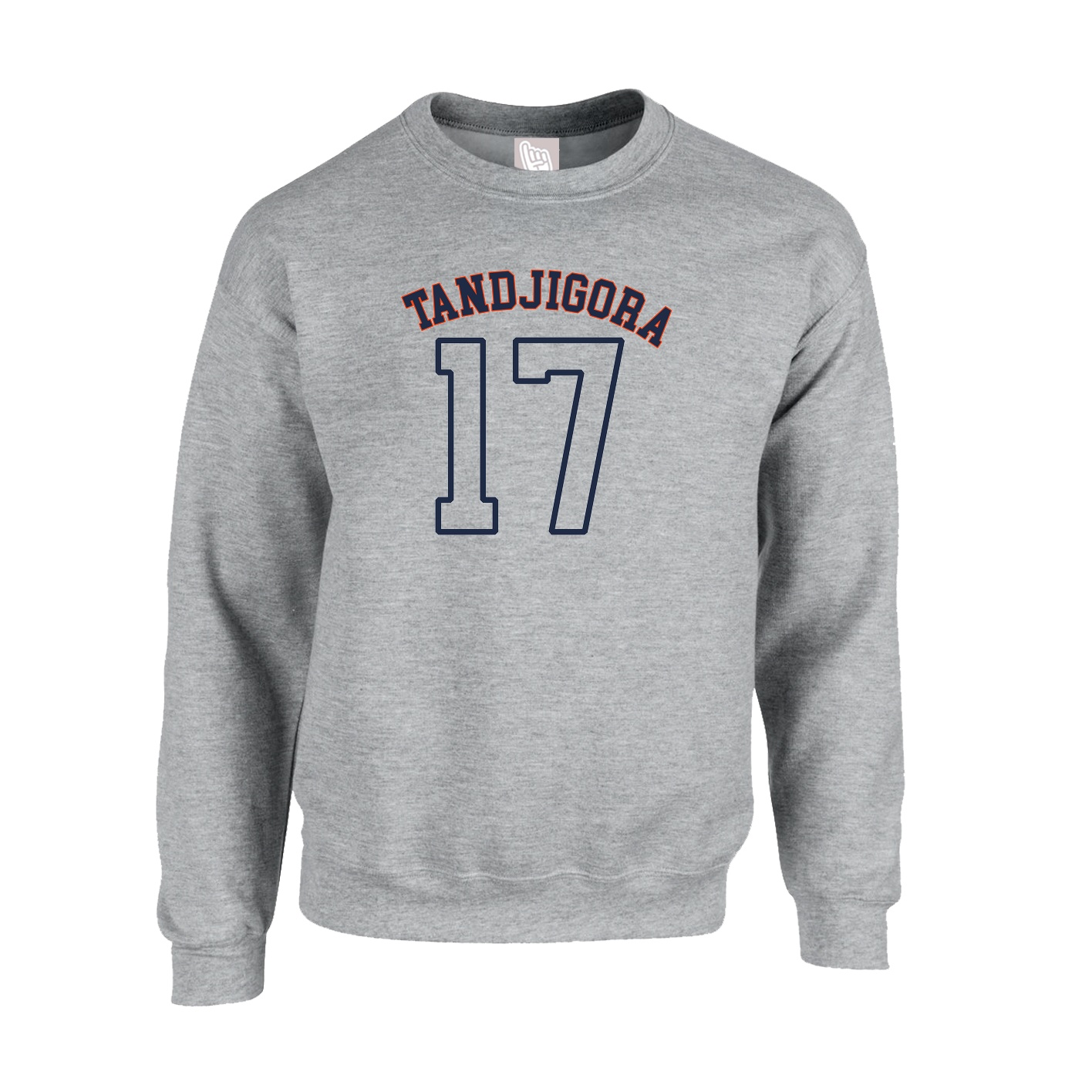 Fleece Crew — Shirsey Arch in Grey