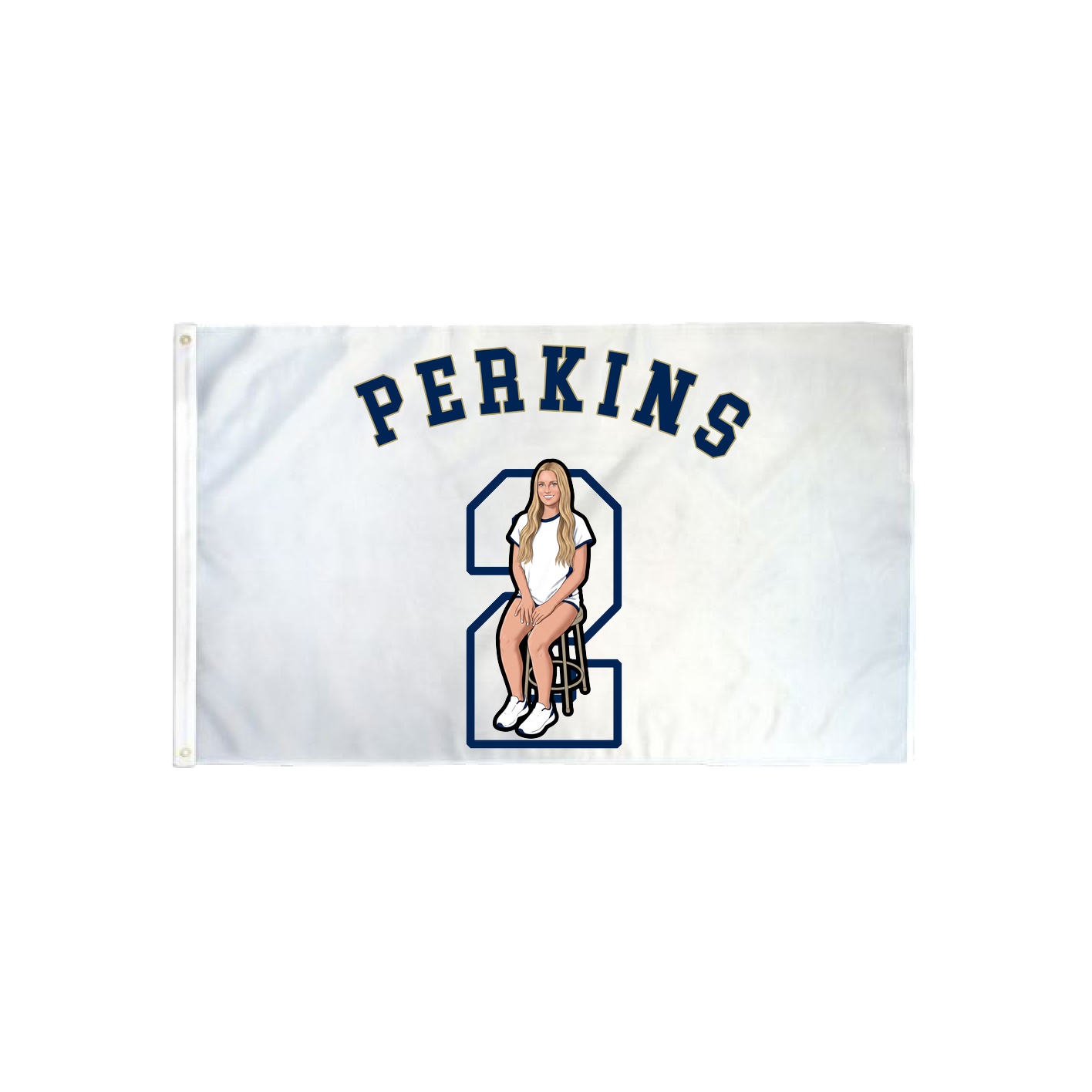 3x5 Flag — Shirsey Arch in Classic