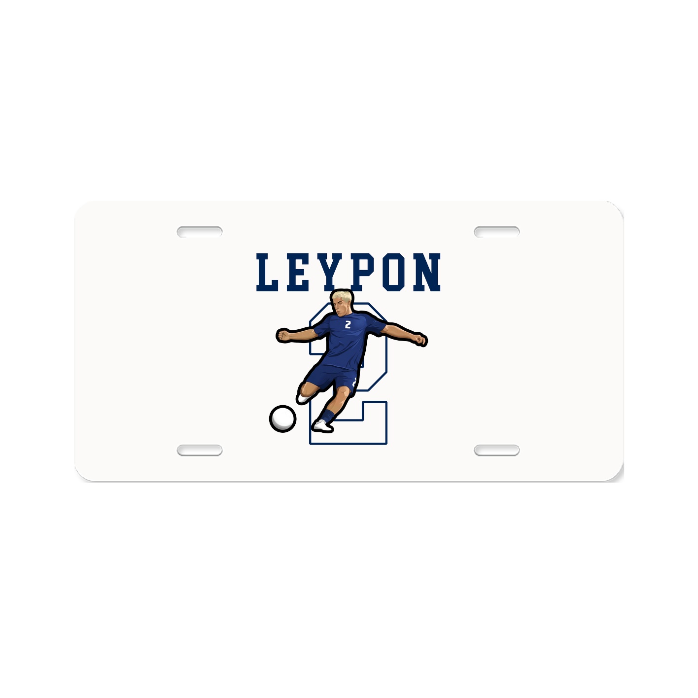 License Plate