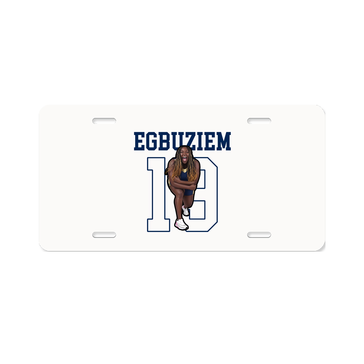 License Plate