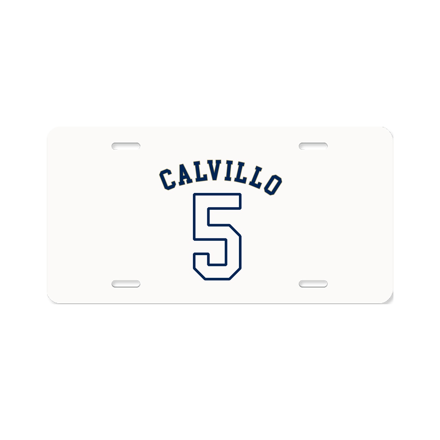 License Plate