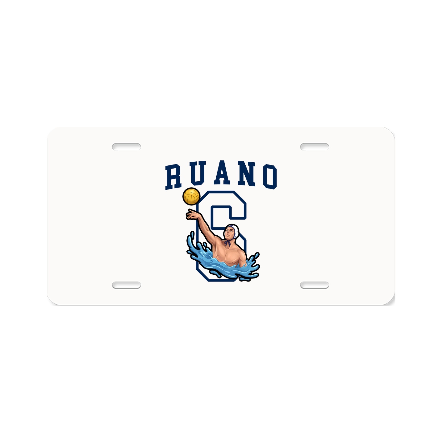 License Plate