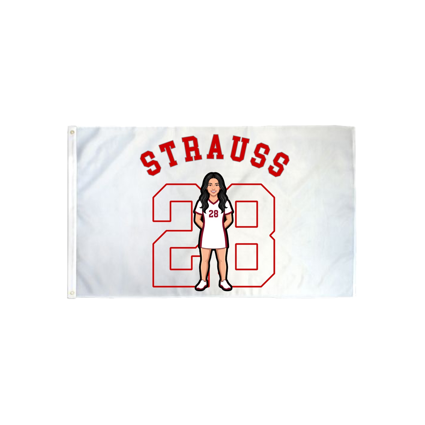 3x5 Flag — Shirsey Arch in Classic