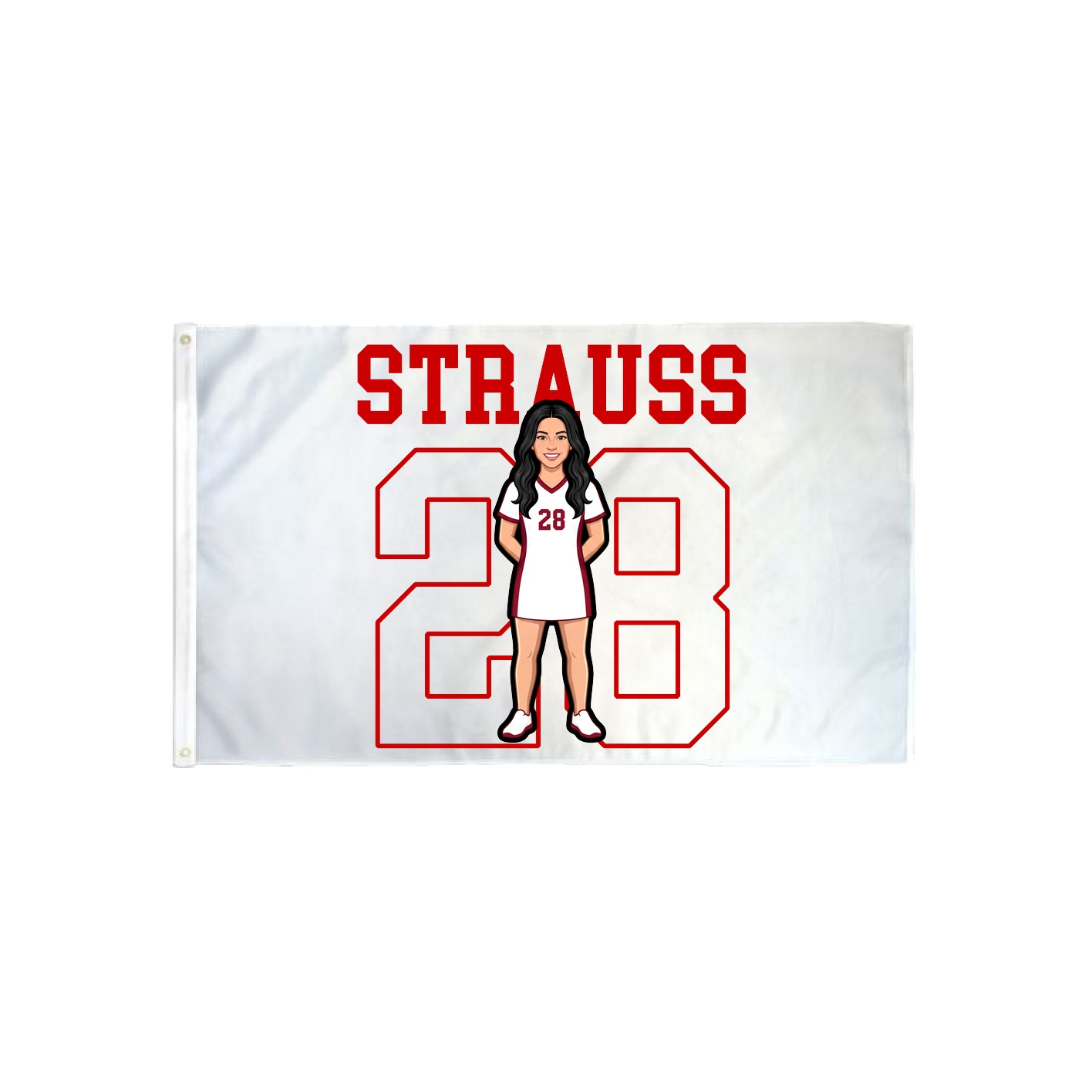 3x5 Flag — Shirsey in Classic