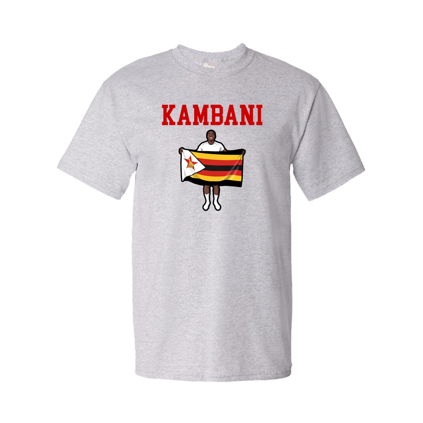 Youth Tee — Shirsey in Grey