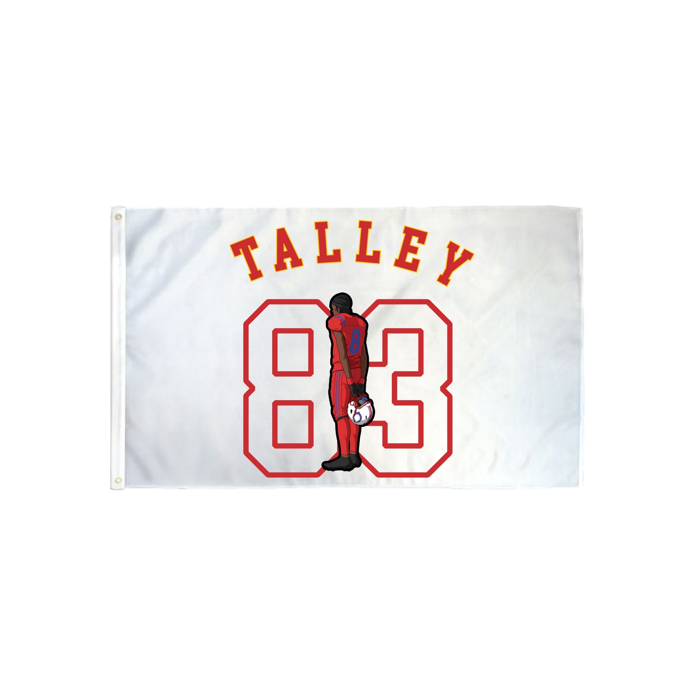 3x5 Flag — Shirsey Arch in Classic