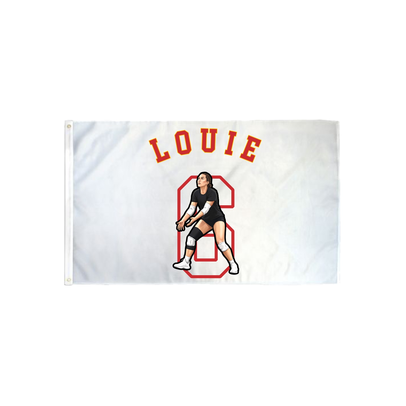 3x5 Flag — Shirsey Arch in Classic
