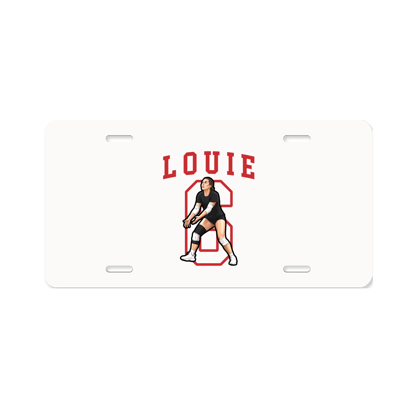Aluminum License Plate