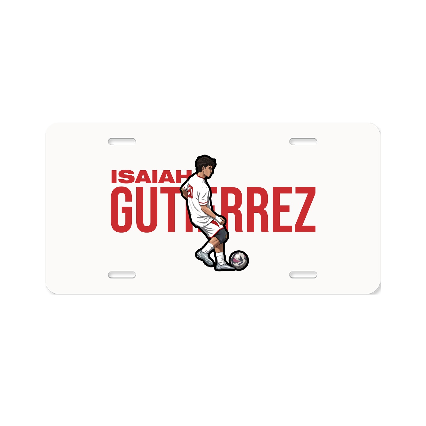License Plate