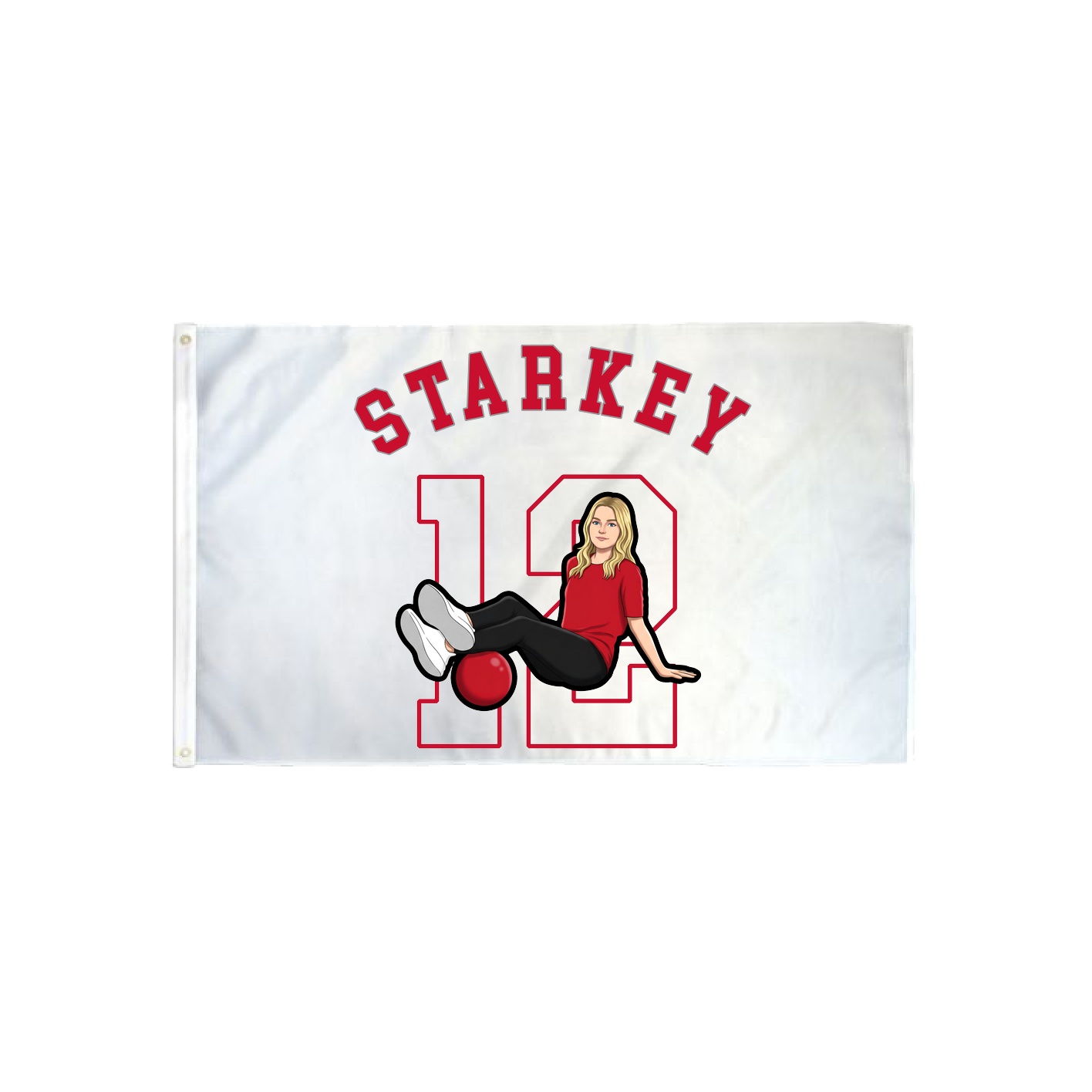 3x5 Flag — Shirsey Arch in Classic