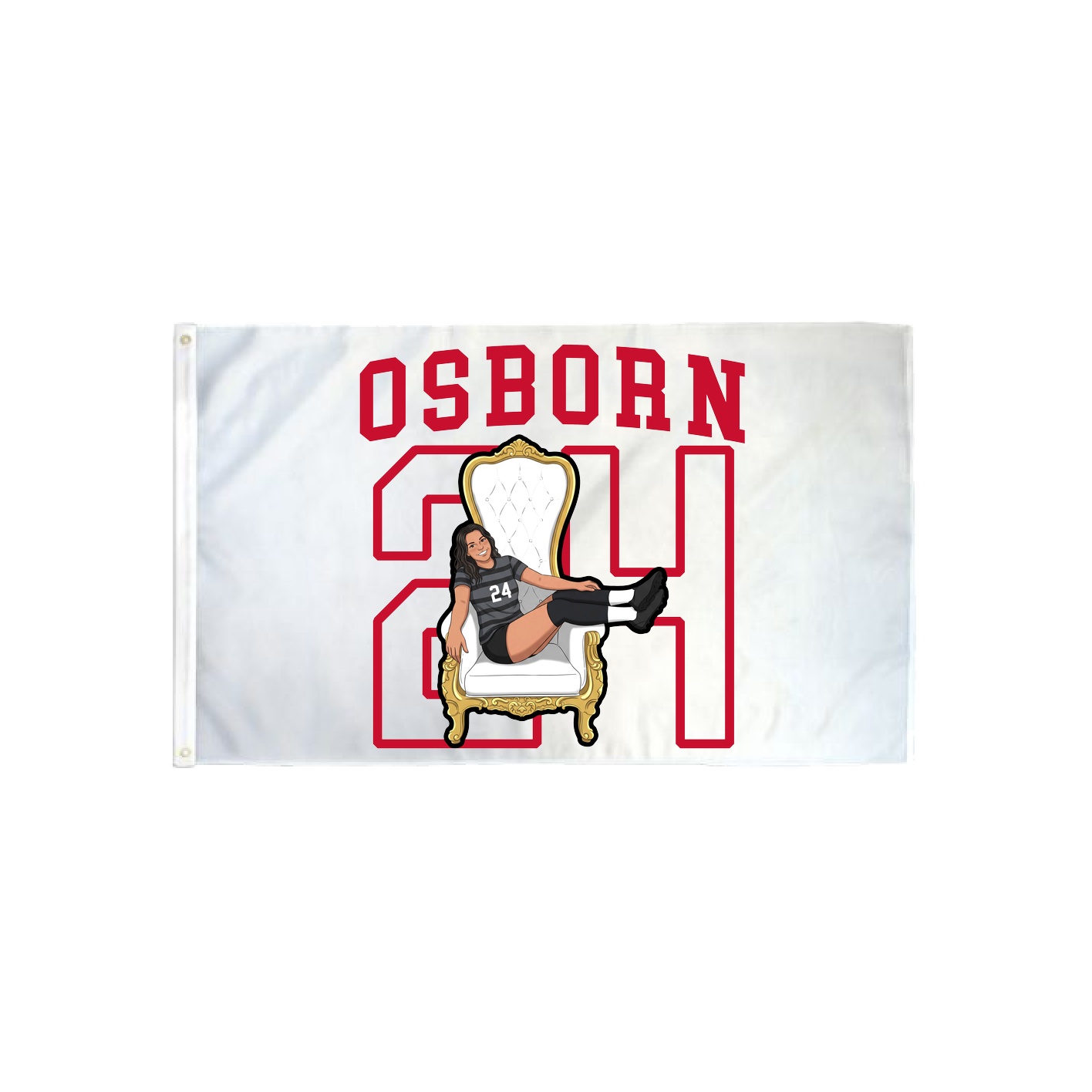 3x5 Flag — Shirsey in Classic