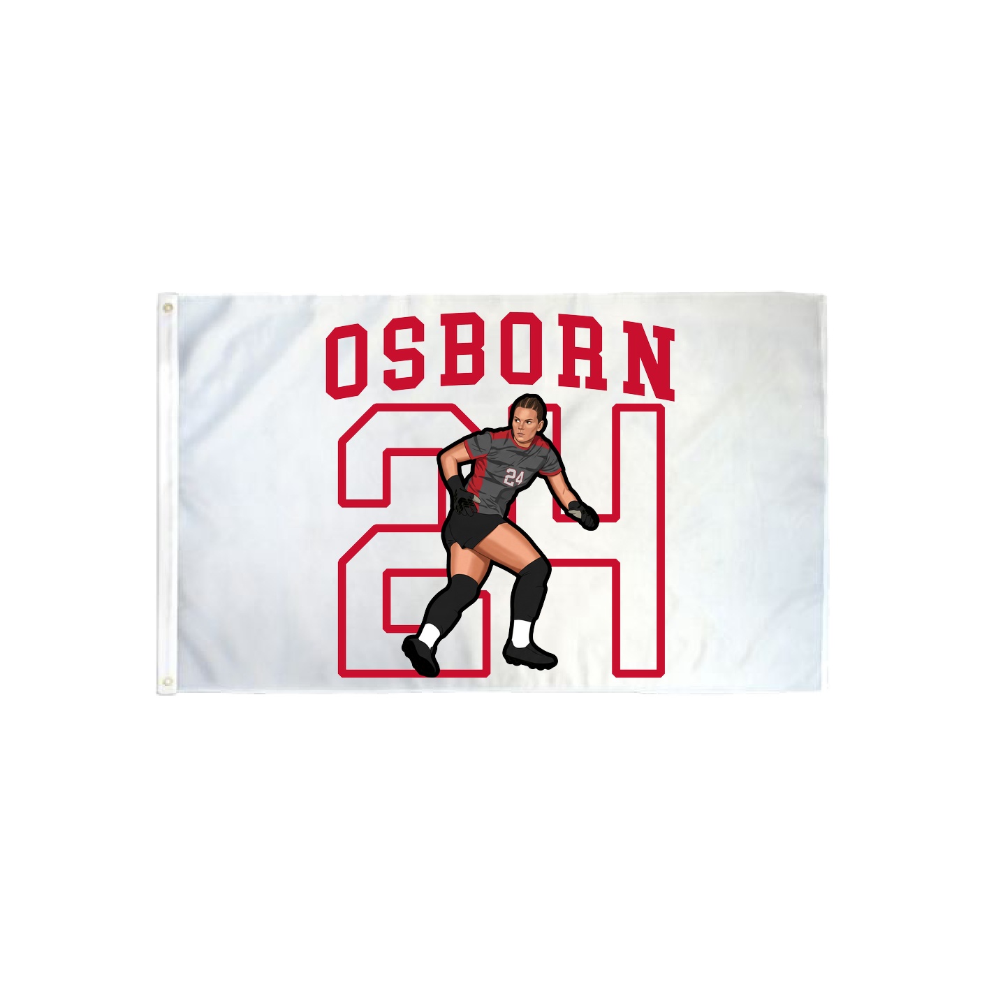 3x5 Flag — Shirsey in Classic