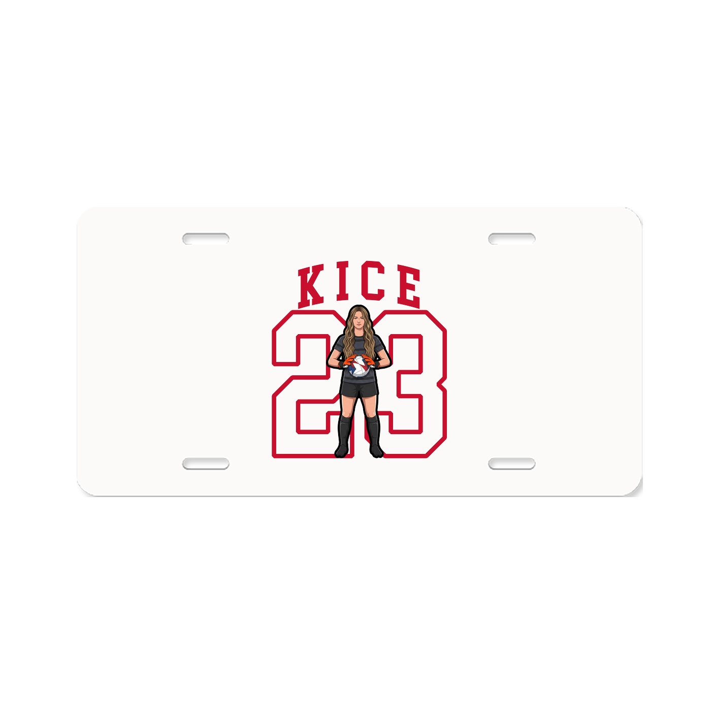 Aluminum License Plate