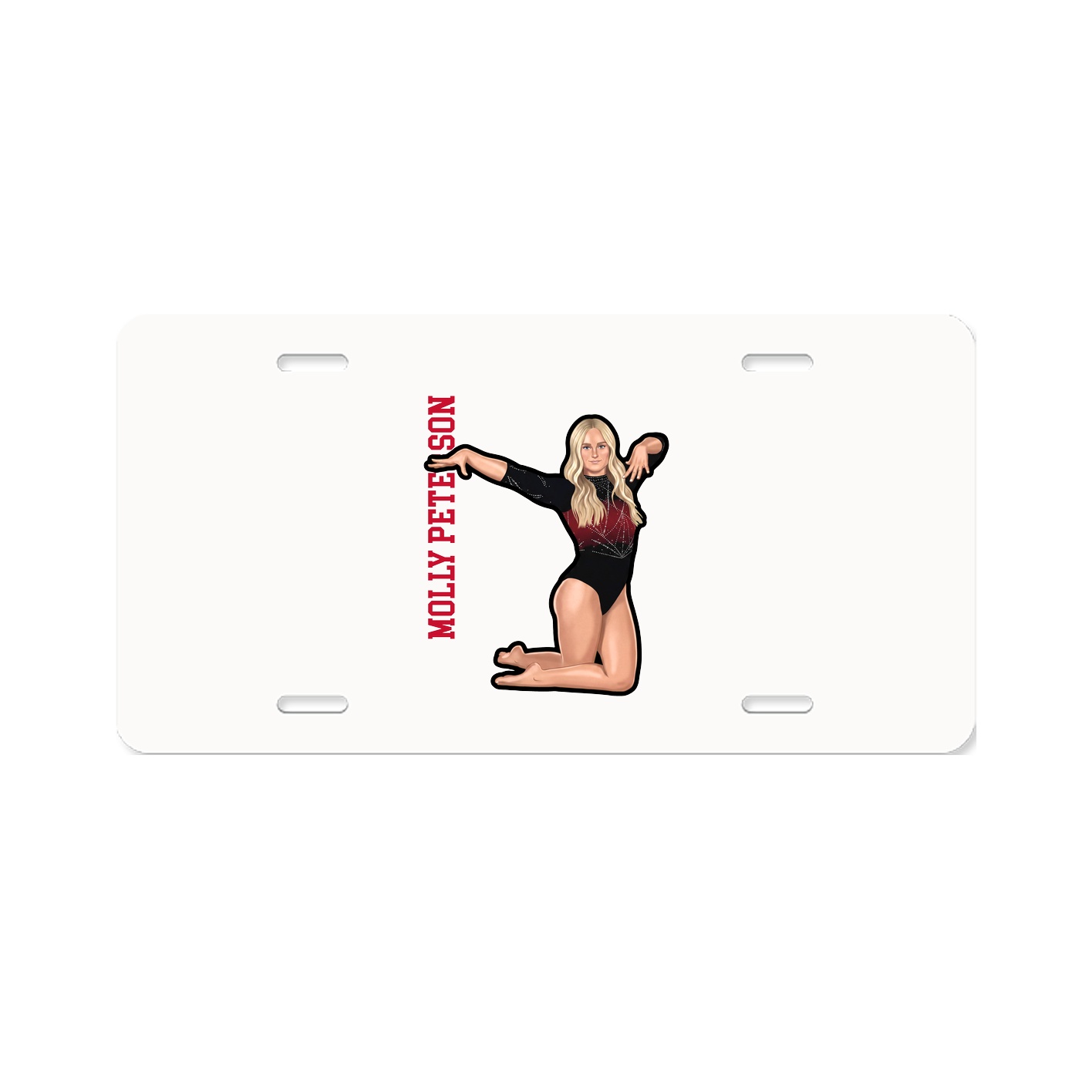 Aluminum License Plate