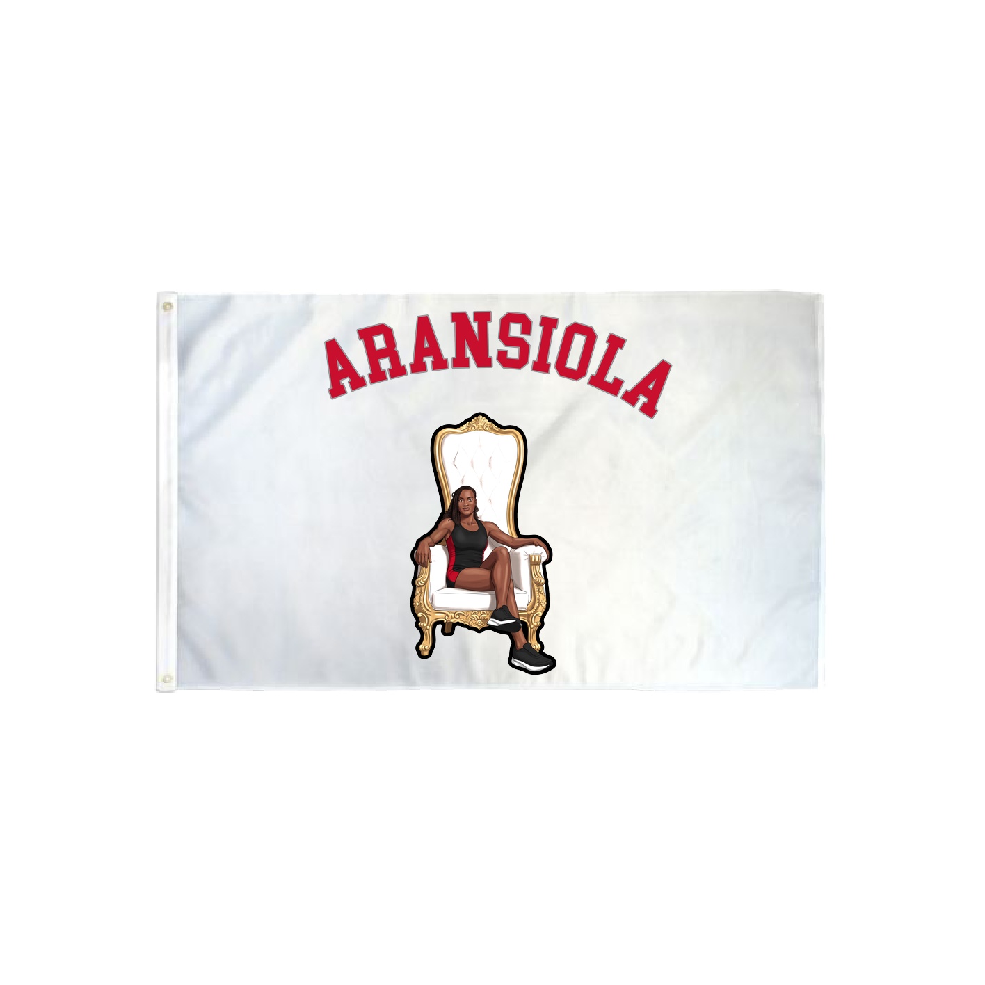 3x5 Flag — Shirsey Arch in Classic