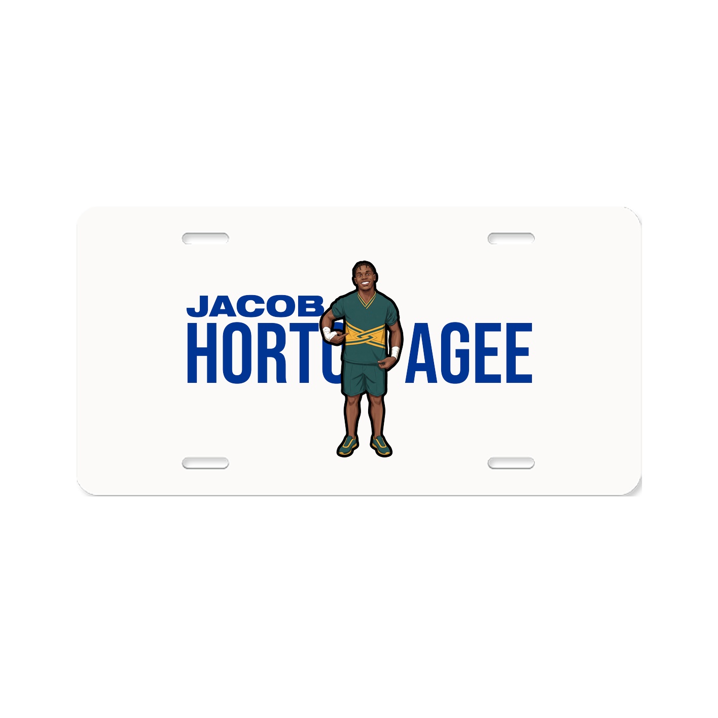 License Plate