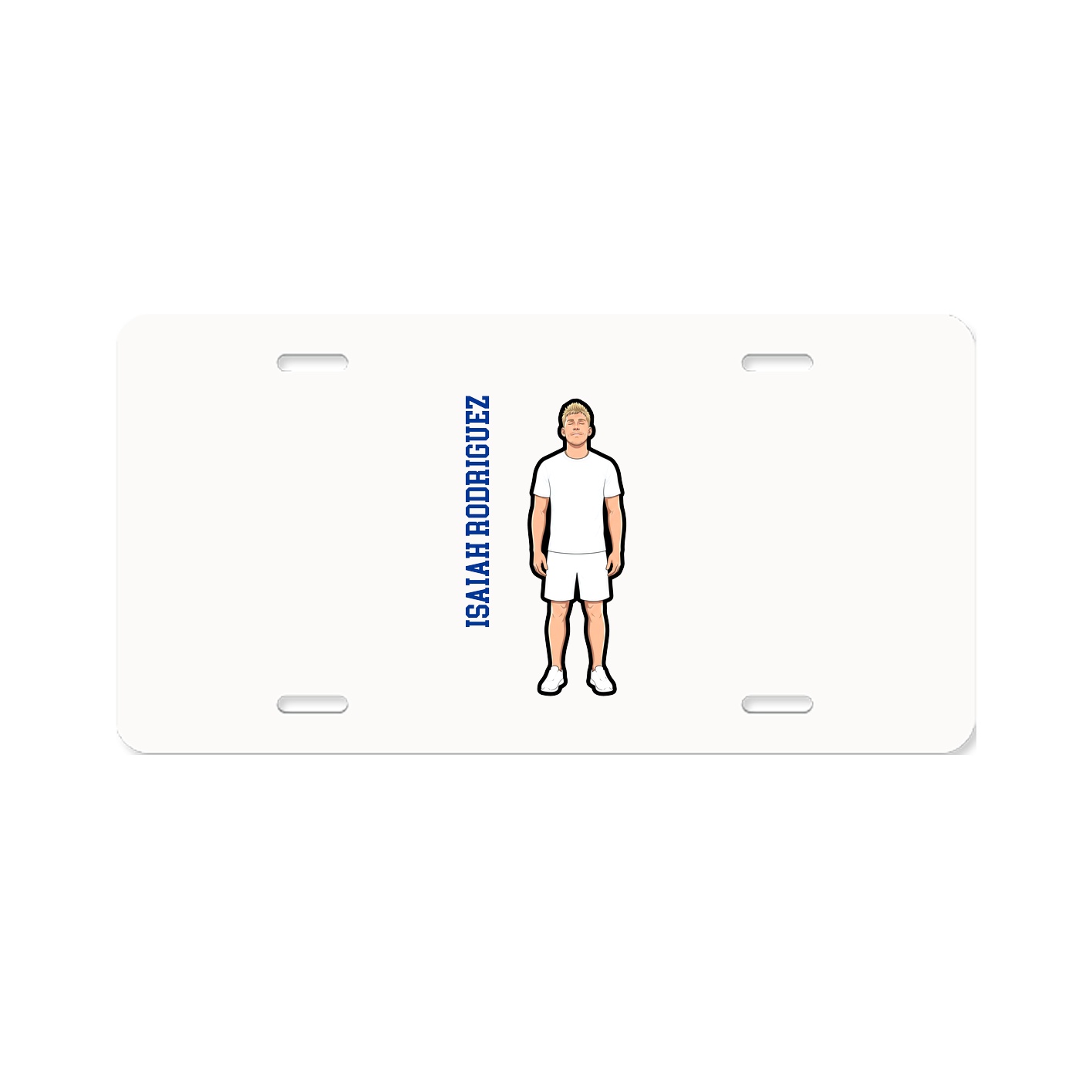 Aluminum License Plate