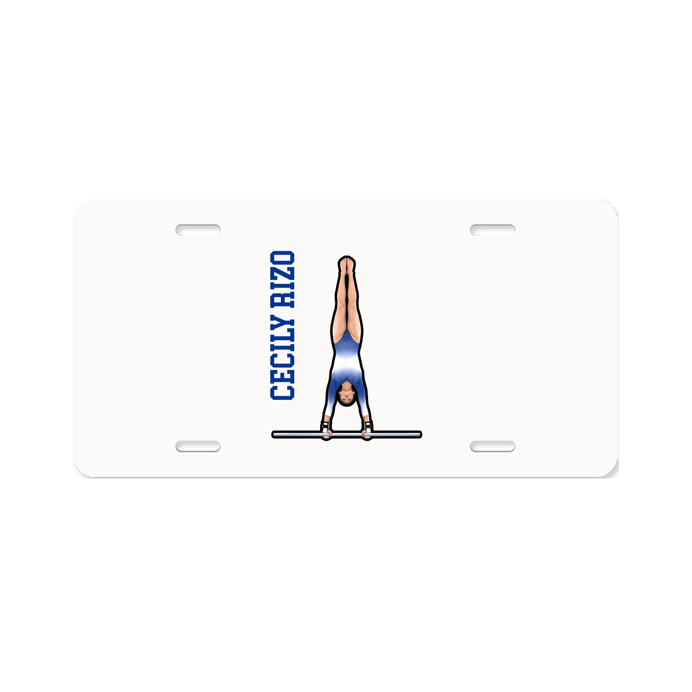 License Plate