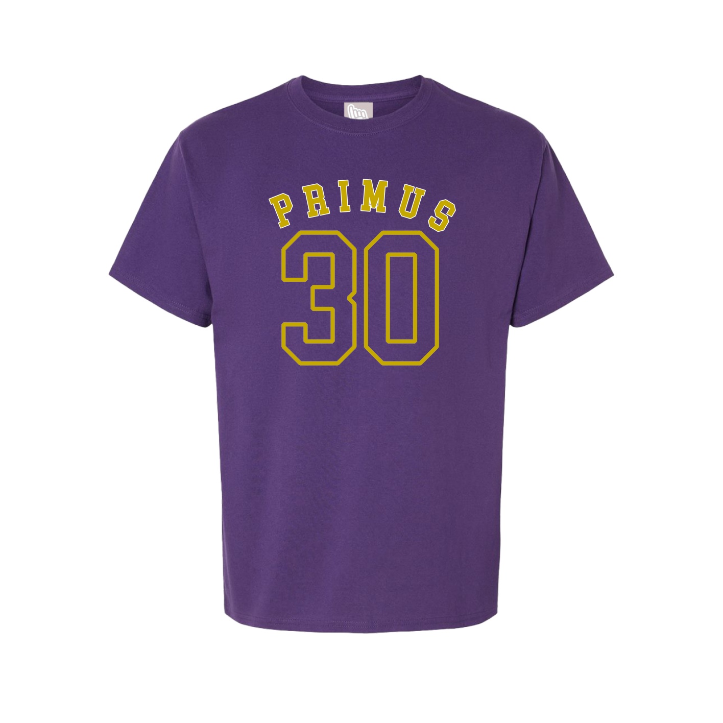 Youth Tee — Shirsey Arch in Purple