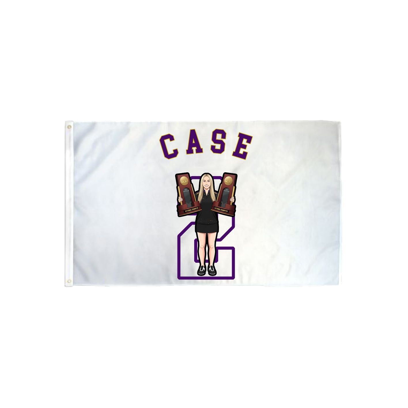 3x5 Flag — Shirsey Arch in Classic