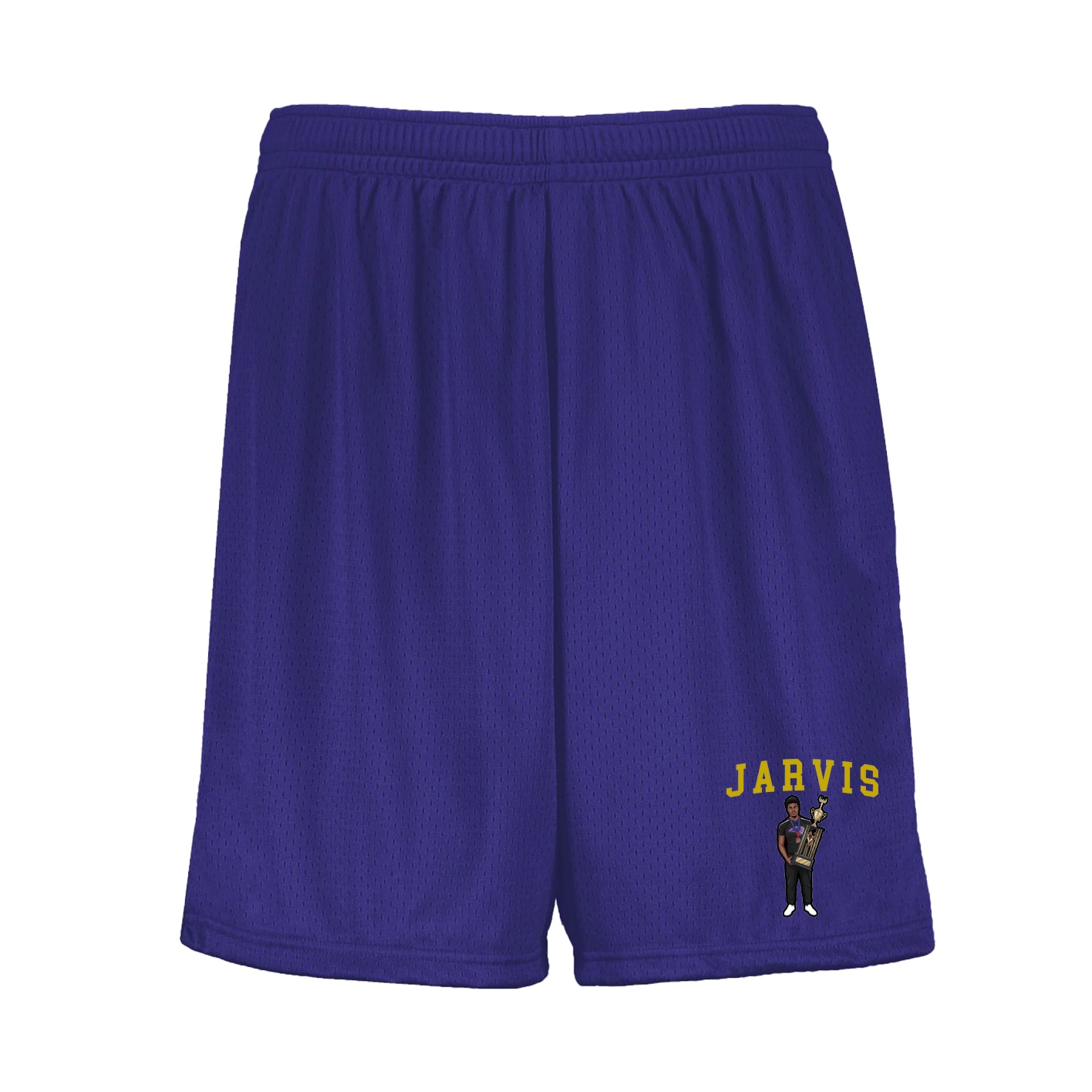 Shorts — Shirsey in Purple