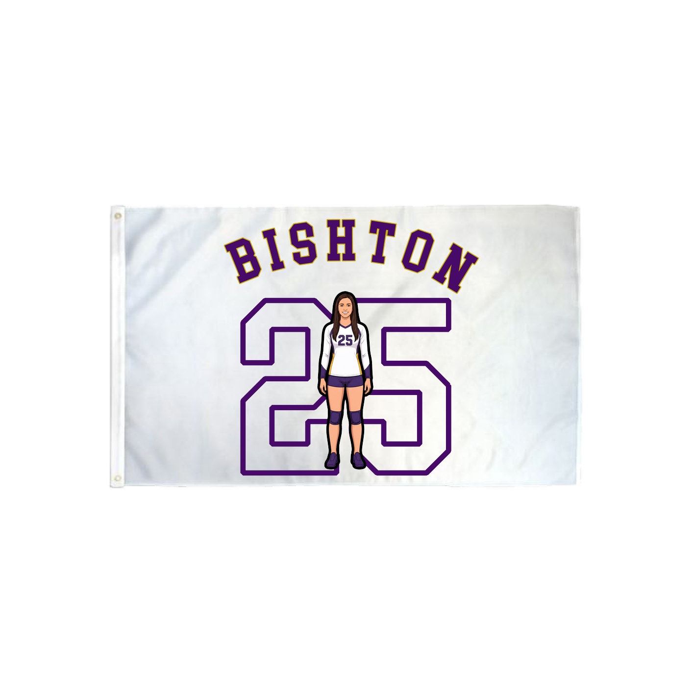 3x5 Flag — Shirsey Arch in Classic
