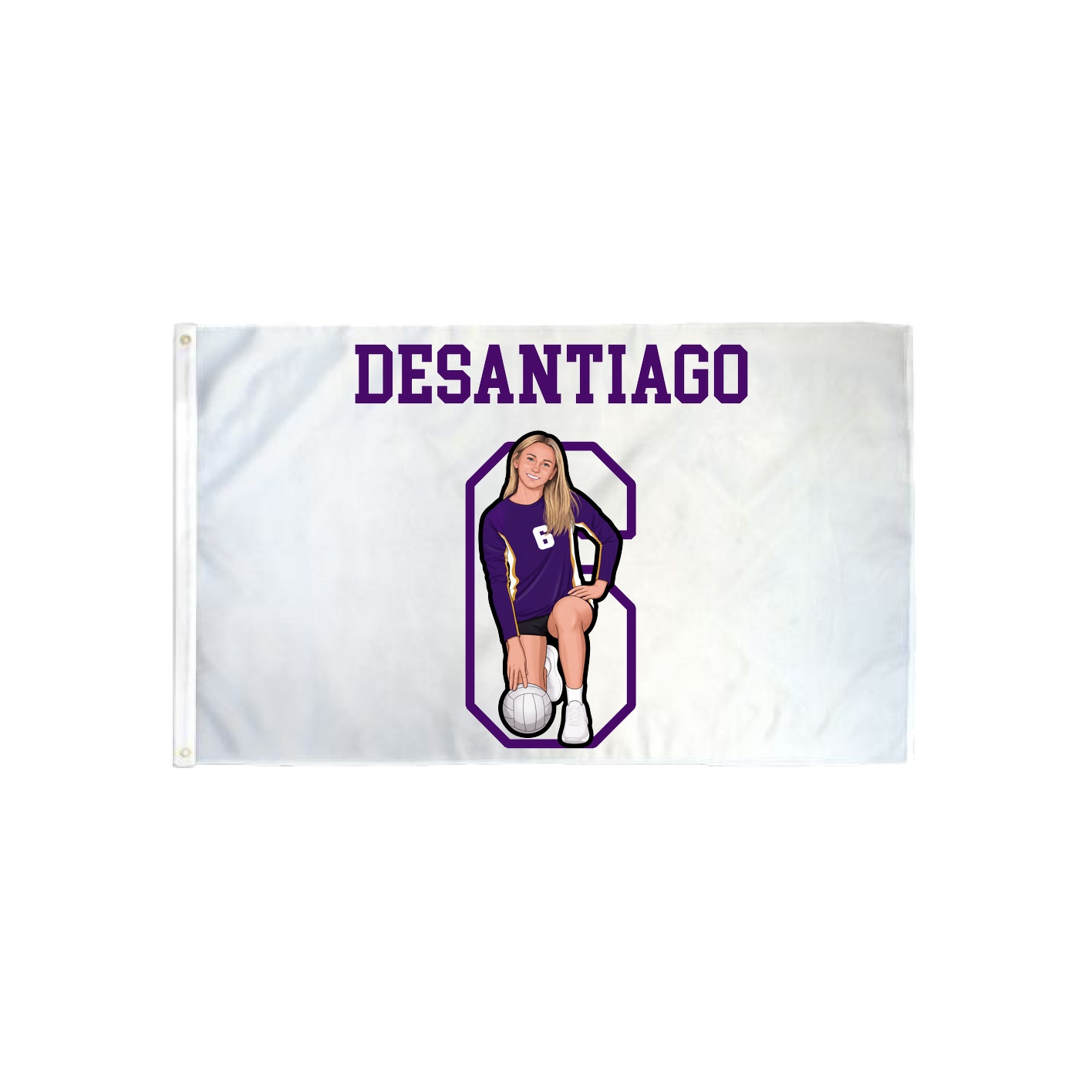 3x5 Flag — Shirsey in Classic