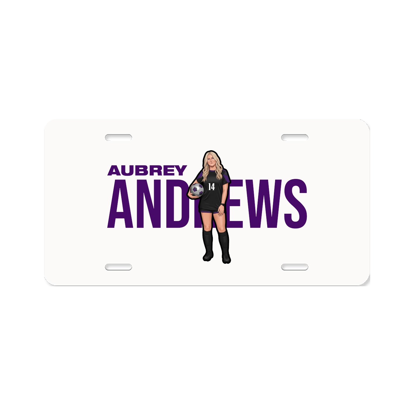 License Plate