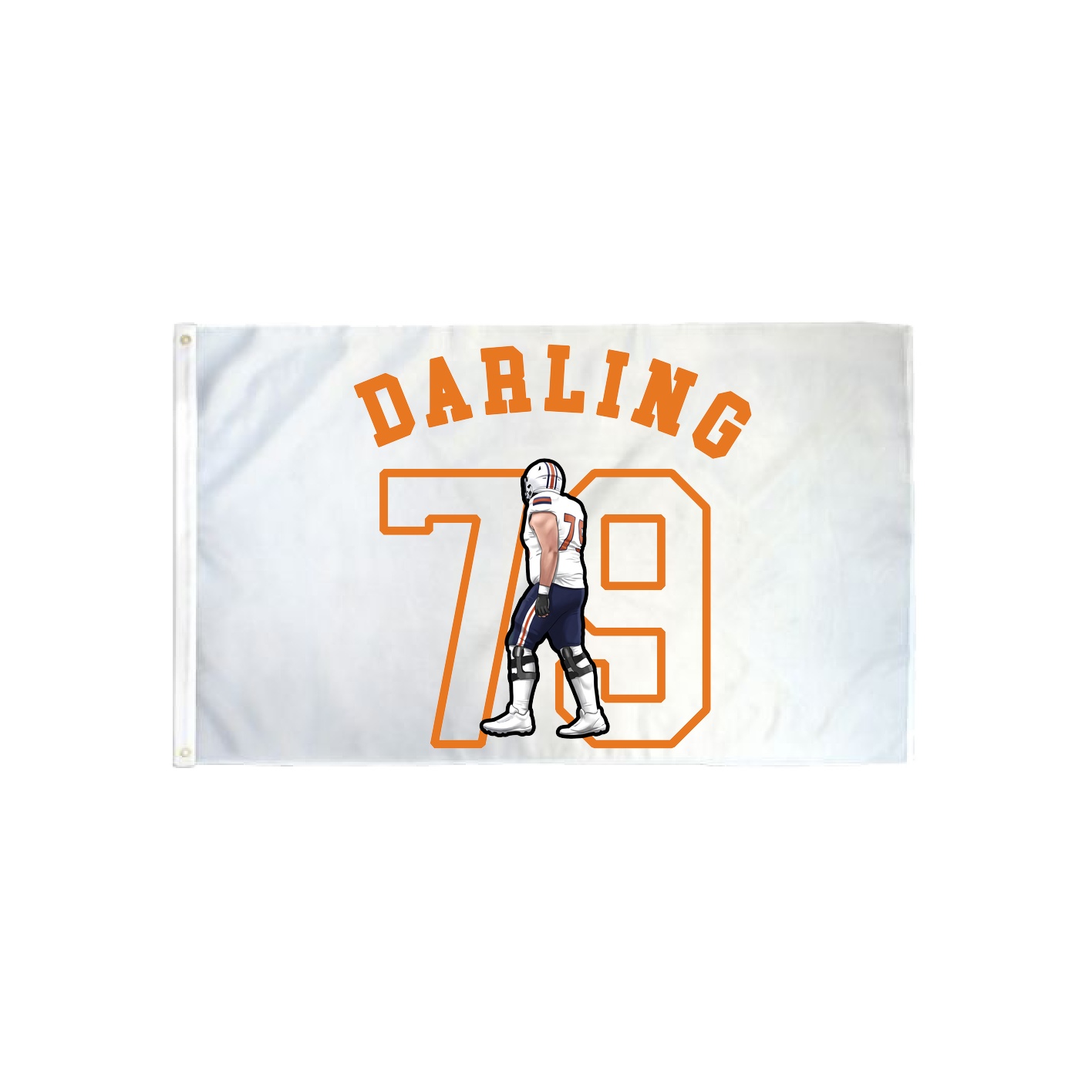 3x5 Flag — Shirsey Arch in Classic