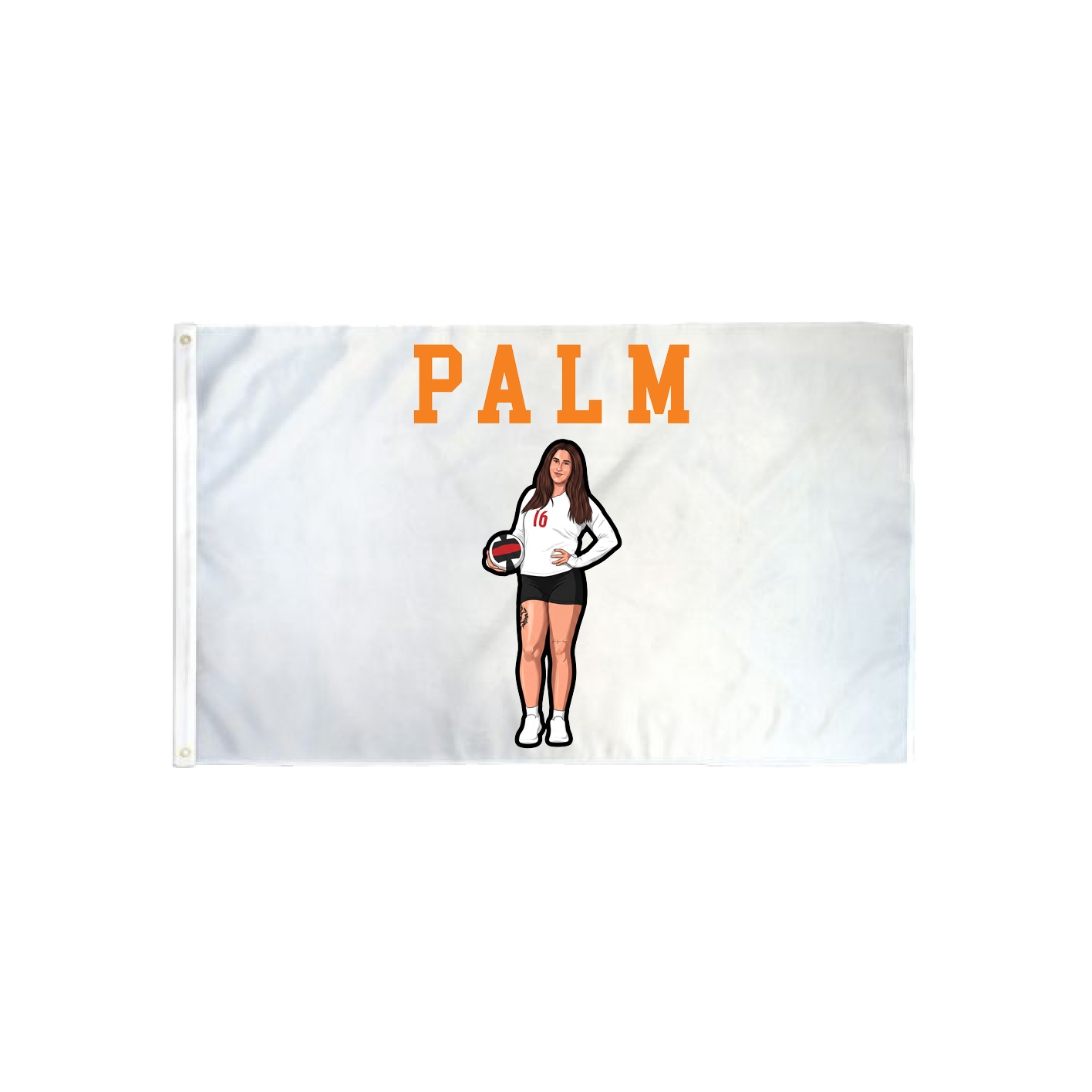 3x5 Flag — Shirsey in Classic