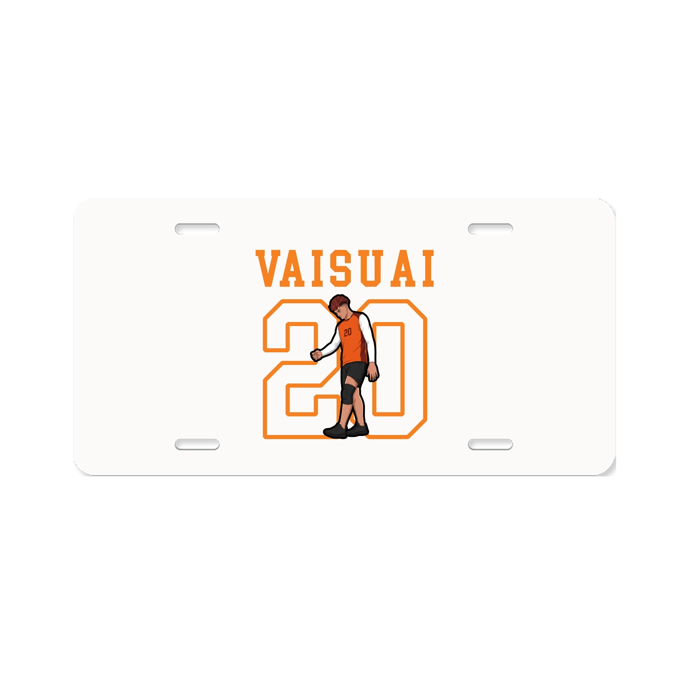 License Plate