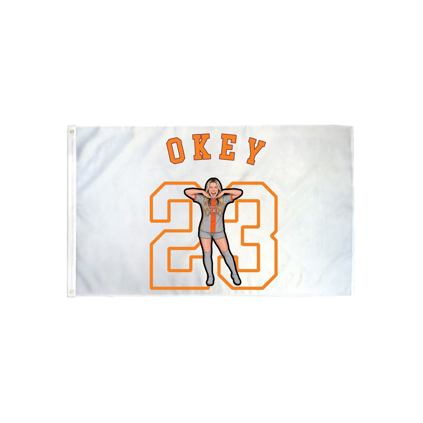 3x5 Flag — Shirsey Arch in Classic
