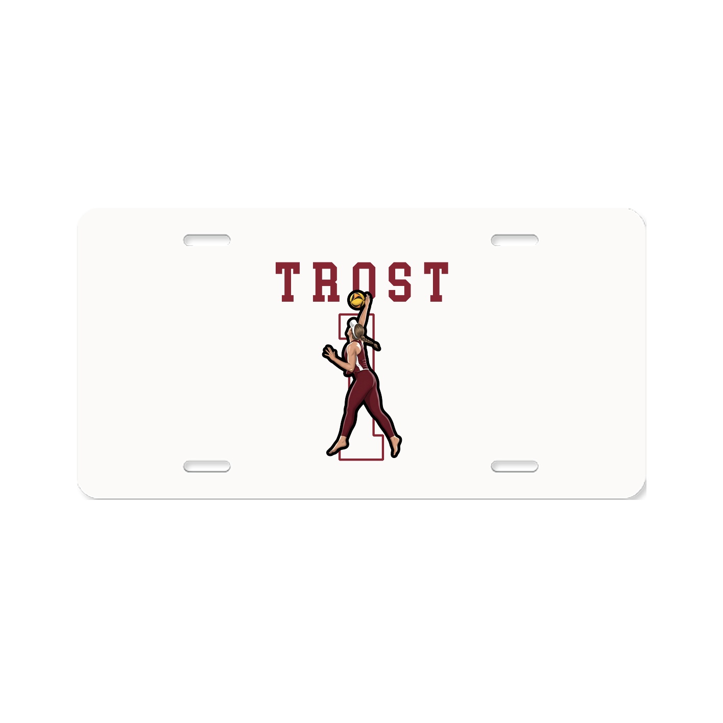 License Plate