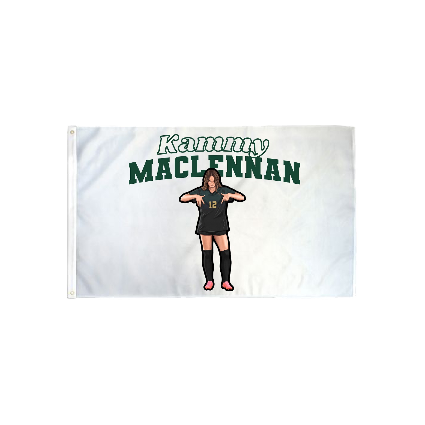 3x5 Flag — Name Arch in Classic