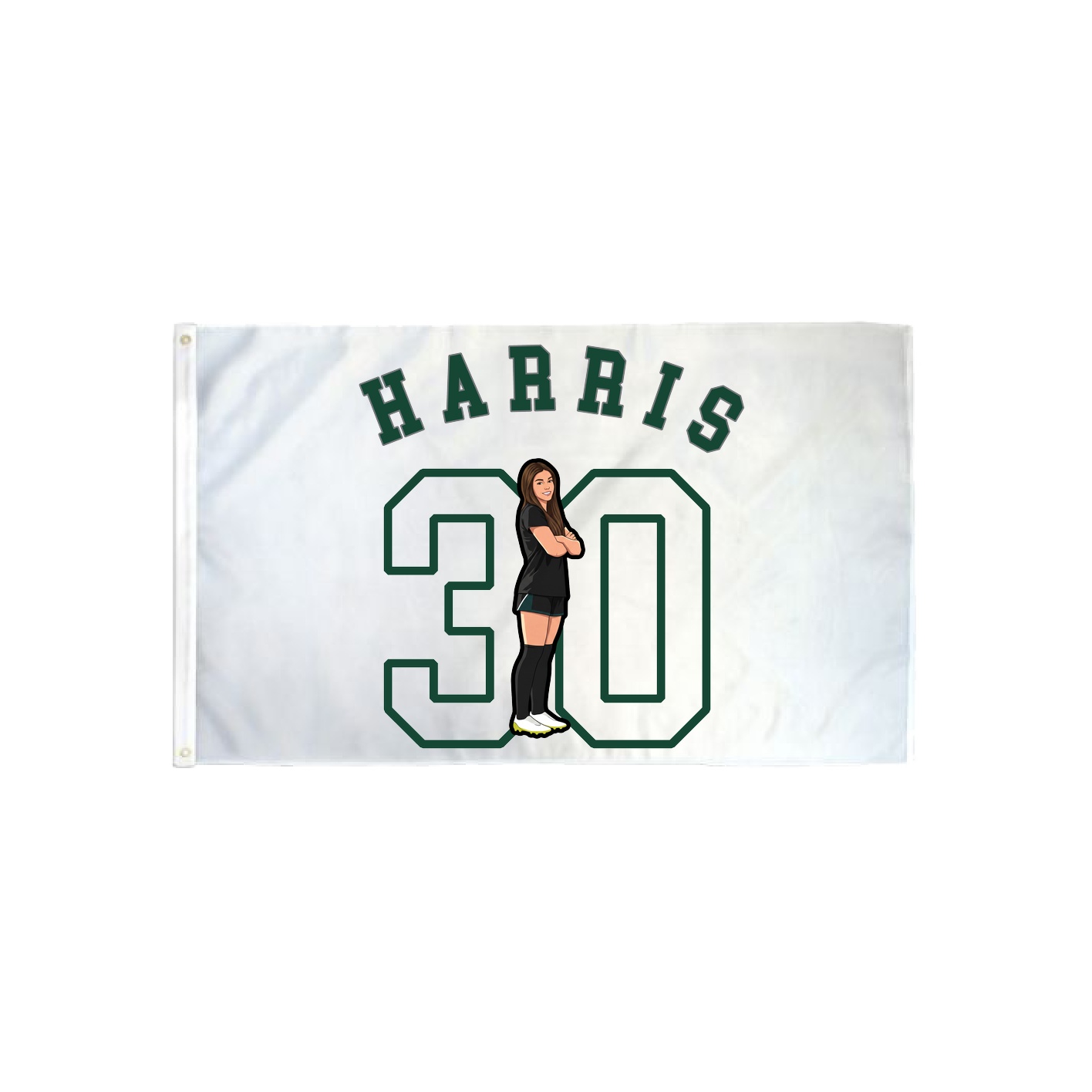 3x5 Flag — Shirsey Arch in Classic