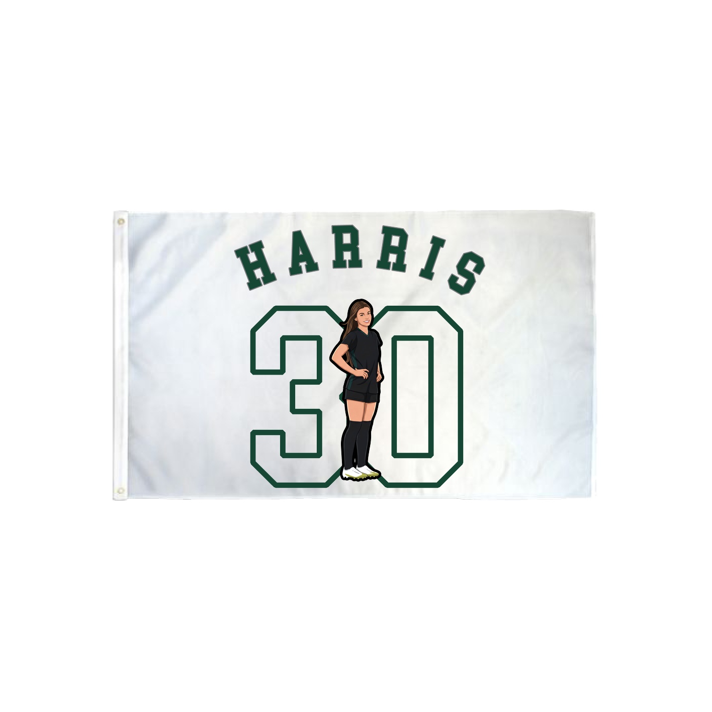 3x5 Flag — Shirsey Arch in Classic