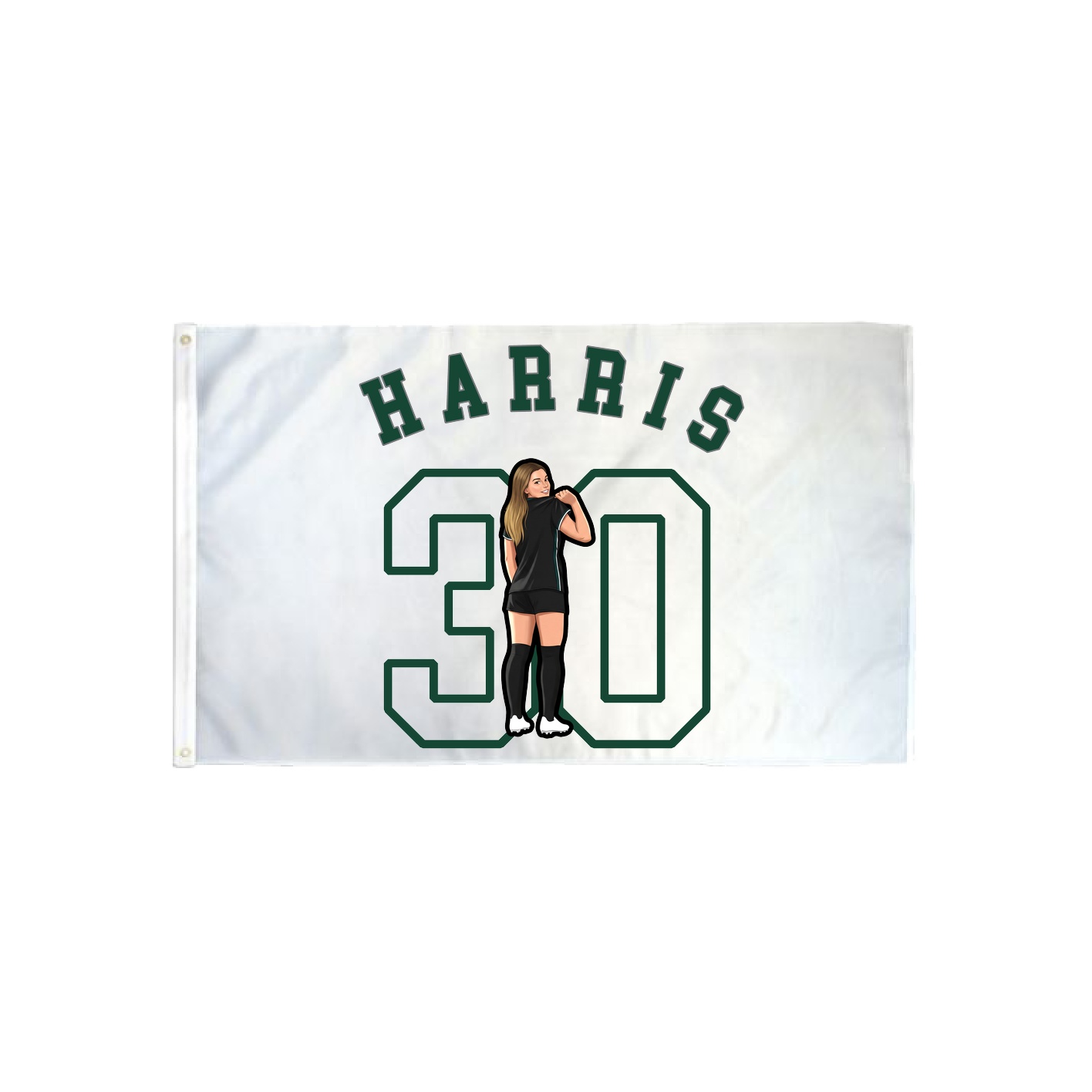 3x5 Flag — Shirsey Arch in Classic