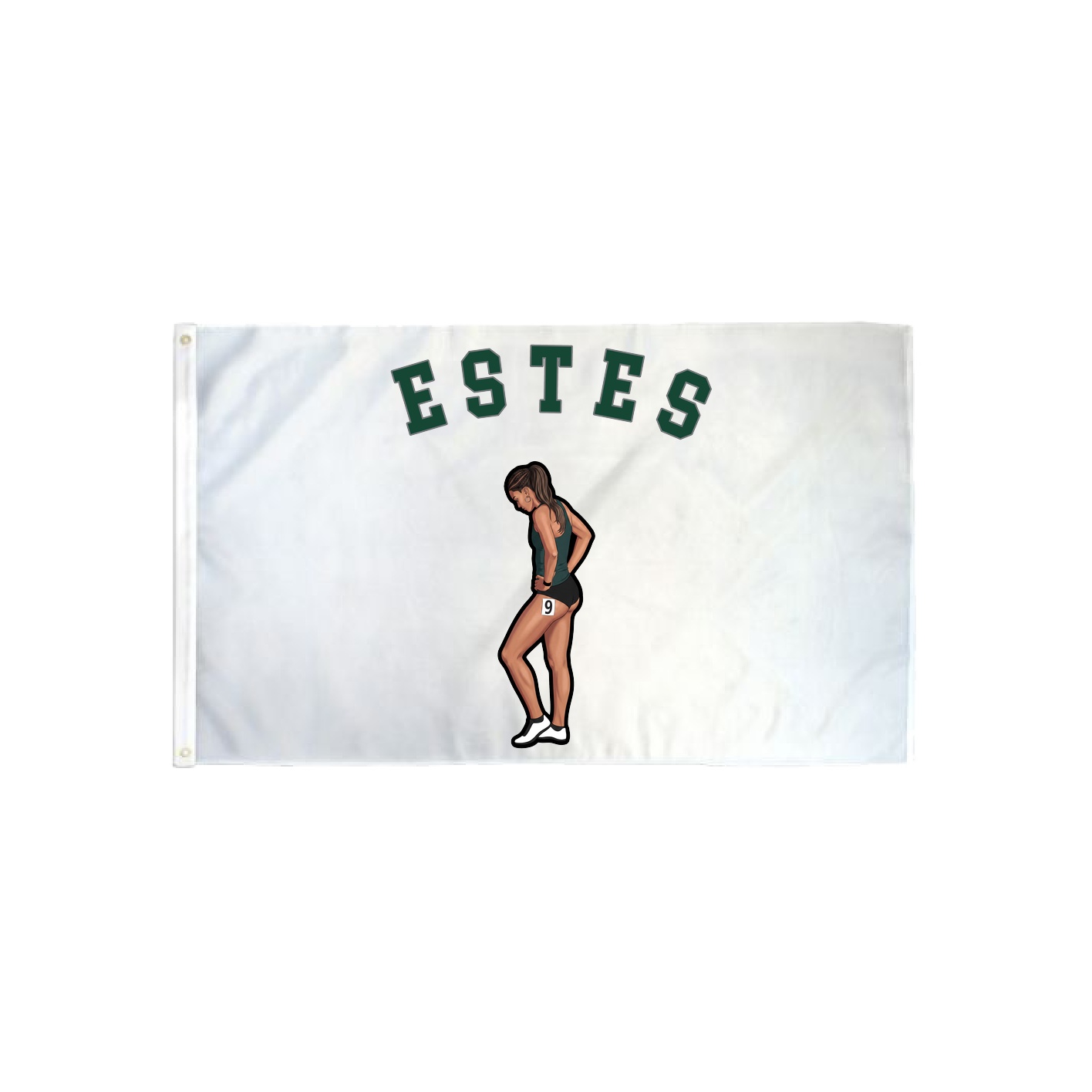 3x5 Flag — Shirsey Arch in Classic