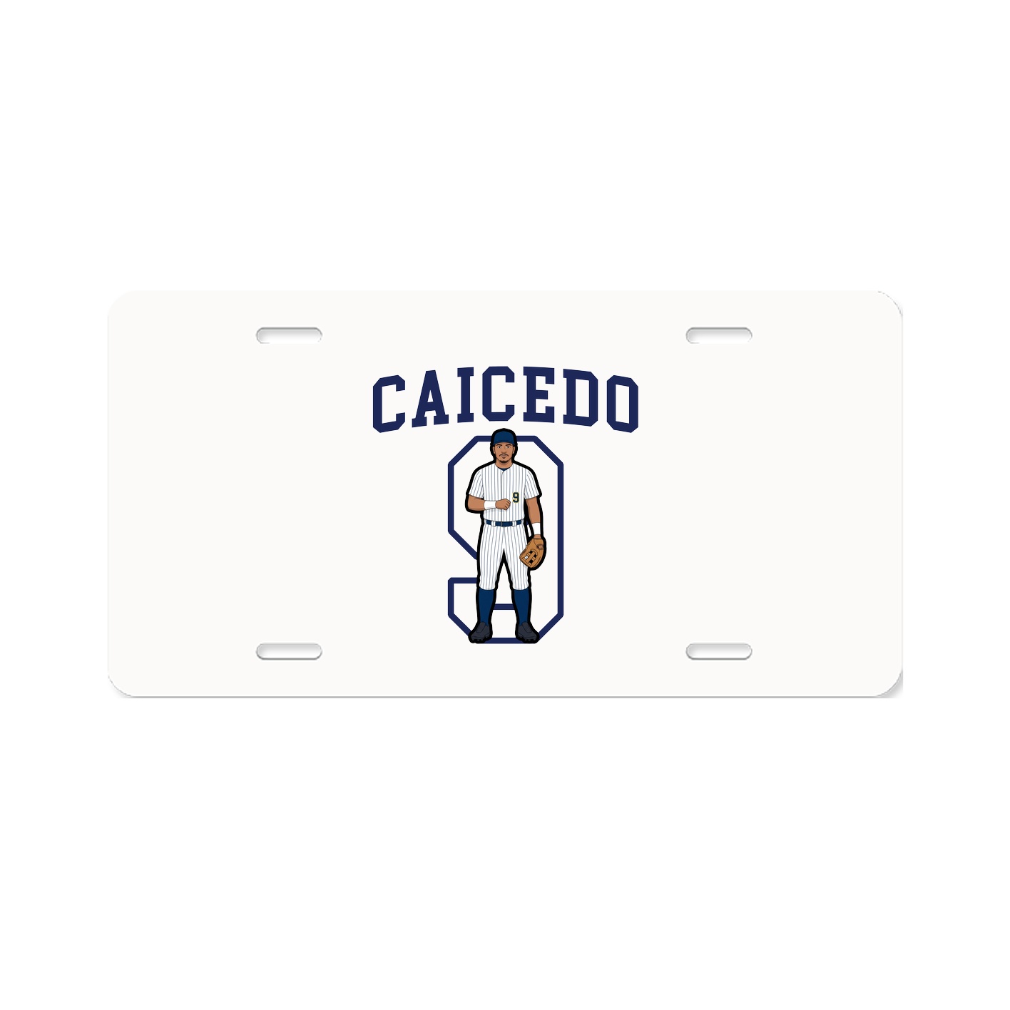 Aluminum License Plate