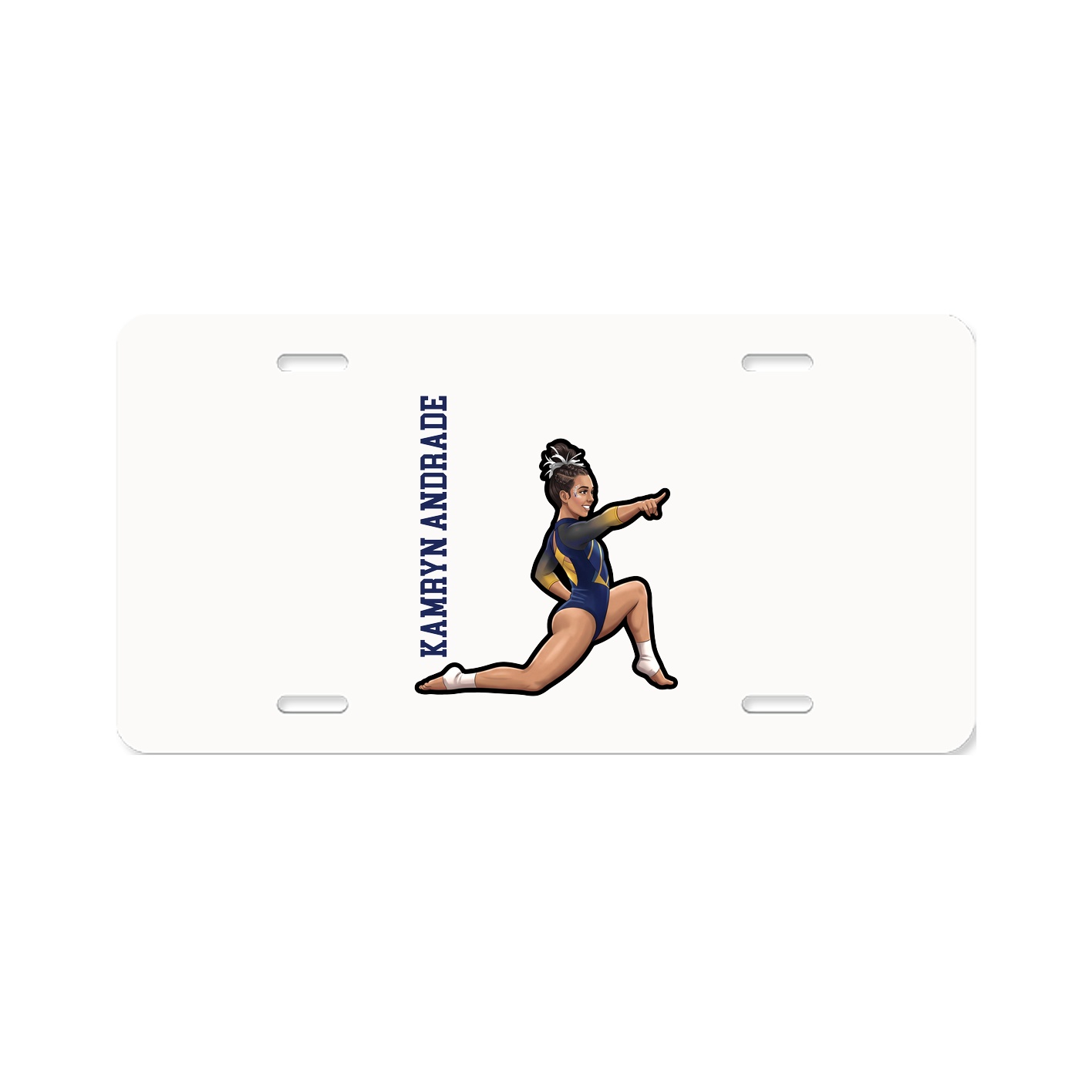 Aluminum License Plate