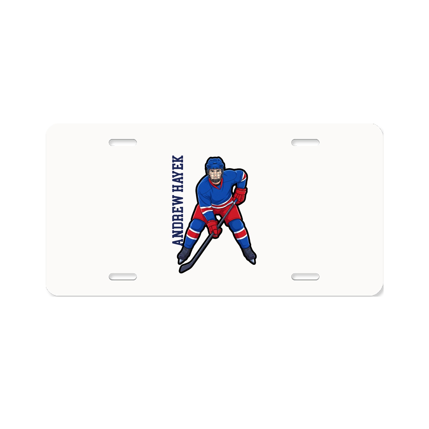 Aluminum License Plate
