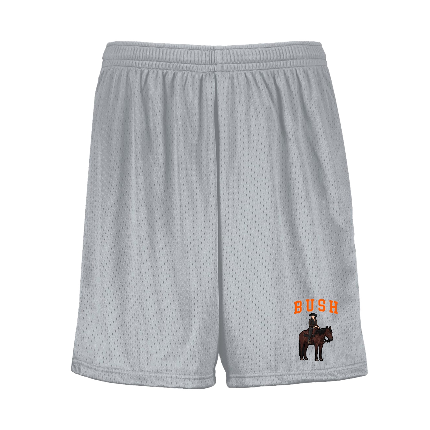Shorts — Shirsey in Silver